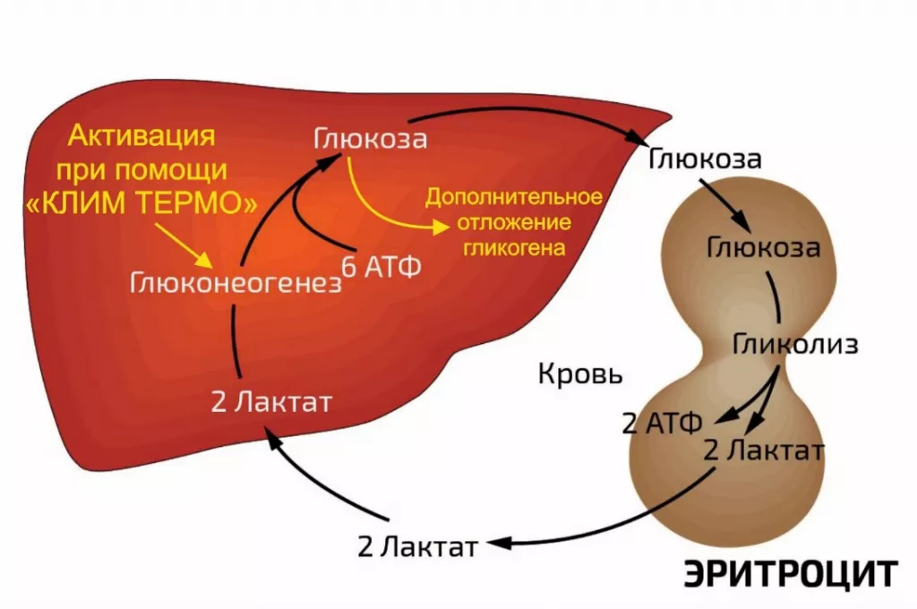 Как сейчас решается проблема теплового стресса у животных и птицы? рис.1
