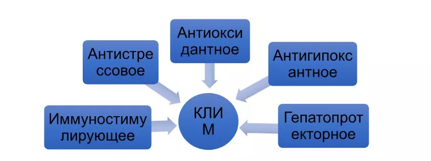 Скриншот 29-04-2026 183346.jpg