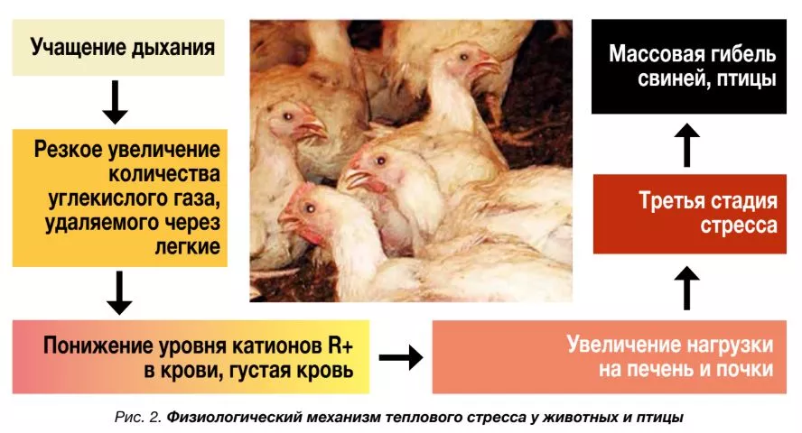 Скриншот 17-04-2026 203812.jpg Скриншот 17-04-2026 203812.jpg