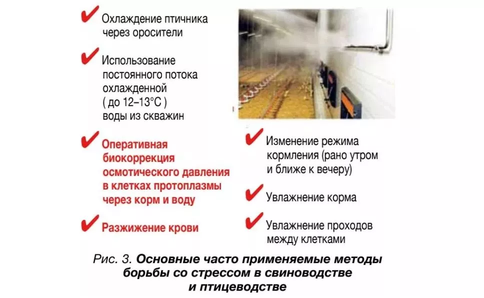 Скриншот 17-04-2026 204159.jpg Скриншот 17-04-2026 204159.jpg