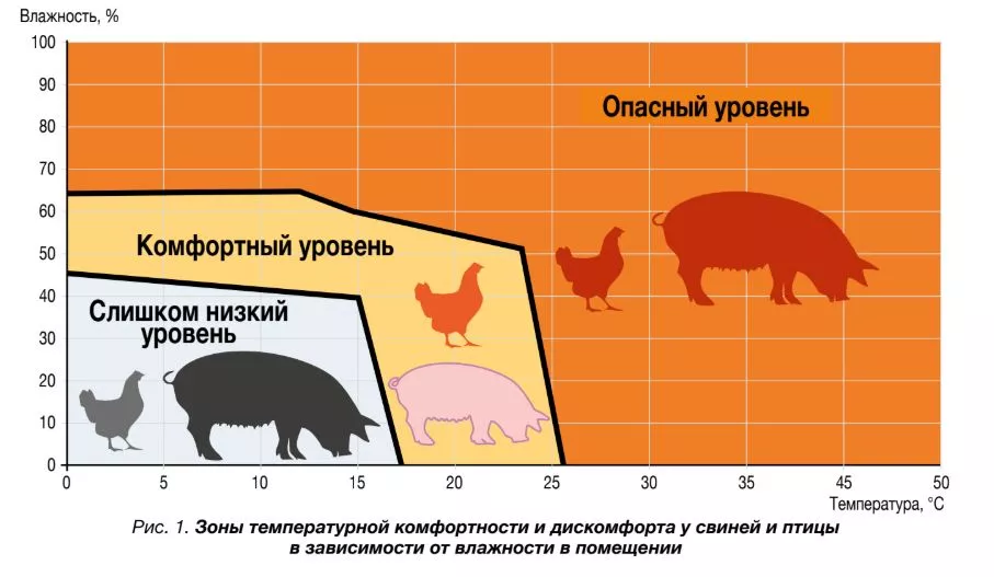 Скриншот 17-04-2026 203545.jpg Скриншот 17-04-2026 203545.jpg