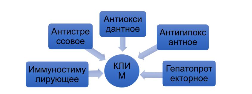 Скриншот 29-04-2026 183346.jpg