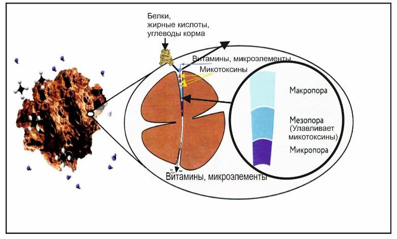 Скриншот 01-06-2026 100039.jpg Скриншот 01-06-2026 100039.jpg