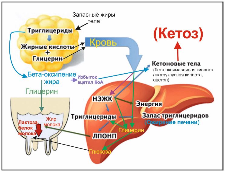 Скриншот 18-05-2026 092002.jpg
