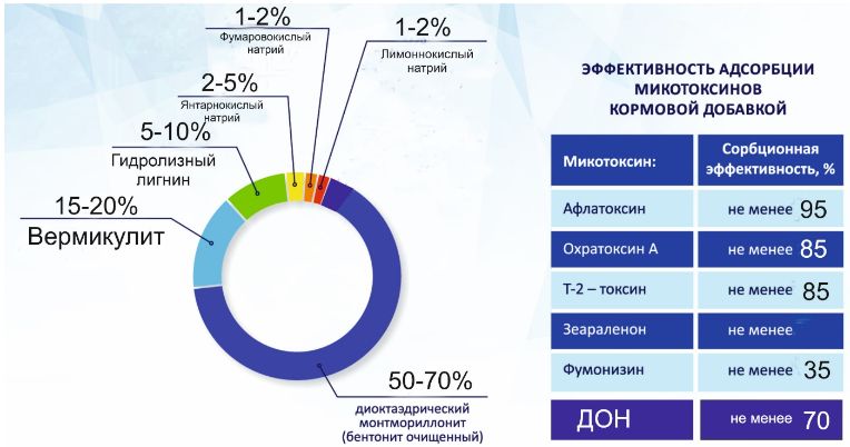 Скриншот 01-06-2026 100424.jpg Скриншот 01-06-2026 100424.jpg